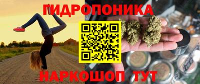 молекула духа Сланцы