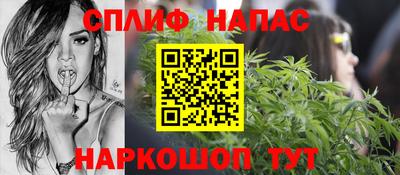 молекула духа Сланцы