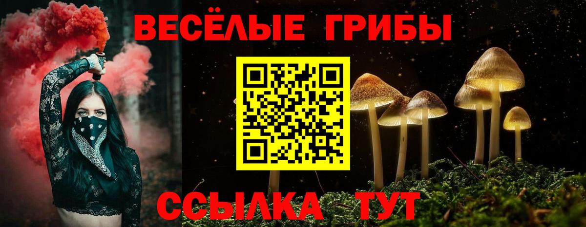 Рязань  Псилоцибиновые грибы мицелий  Вход с VPN 